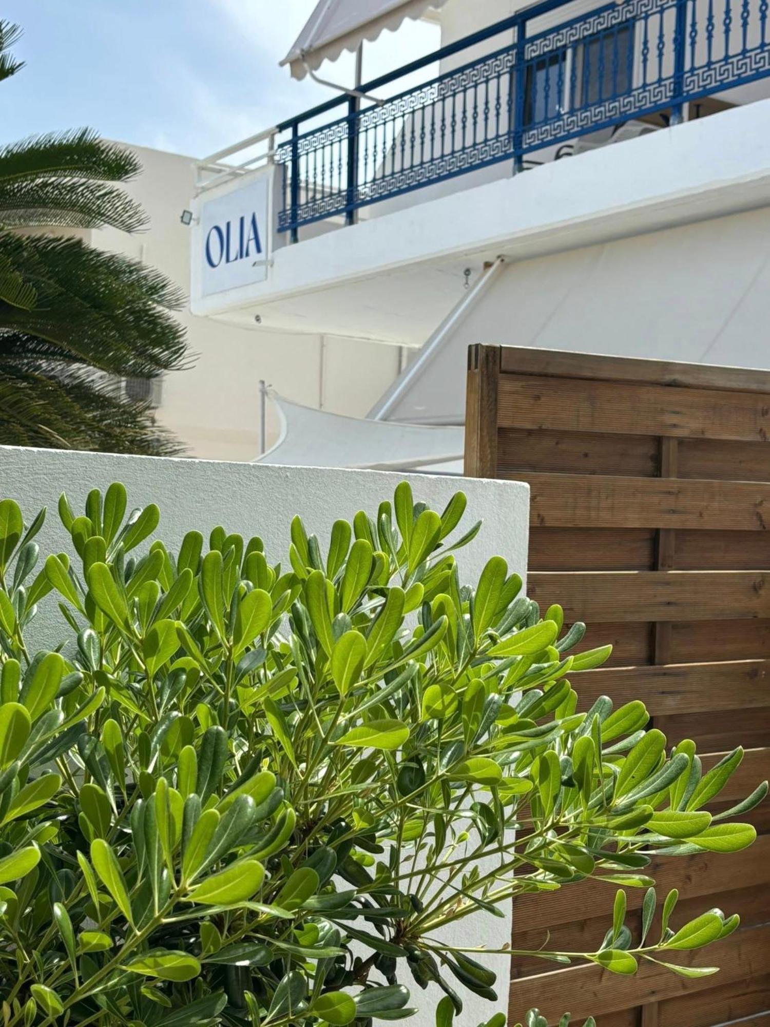 Olia Studios Olga Studios Faliraki Eksteriør billede