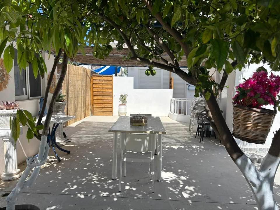 Olia Studios Olga Studios Faliraki Eksteriør billede